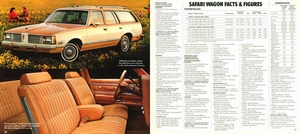 1980 Pontiac Full Line (Cdn)-30-31.jpg